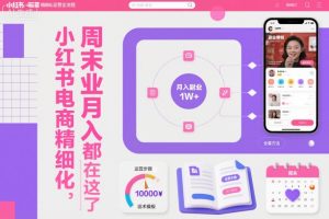 小红书电商精细化运营全流程，周末副业月入1W+，全套方法都在这了-网创项目总站