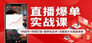直播爆单实战课：7天起号+场域打造+高转化话术+流量放大与复盘递增-网创项目总站