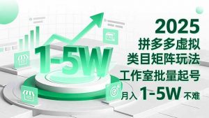 2025 拼多多虚拟类目矩阵玩法，工作室批量起号，月入 1-5W 不难-网创项目总站