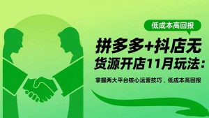 拼多多+抖店无货源开店11月玩法：掌握两大平台核心运营技巧，低成本高回报-网创项目总站
