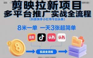 剪映拉新项目多平台推广实战全流程(抖音快手小红书今日头条)，8米一单，一天3张超简单-网创项目总站