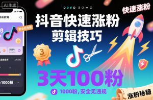 抖音快速涨粉剪辑技巧，3天1000粉，安全无违规-网创项目总站