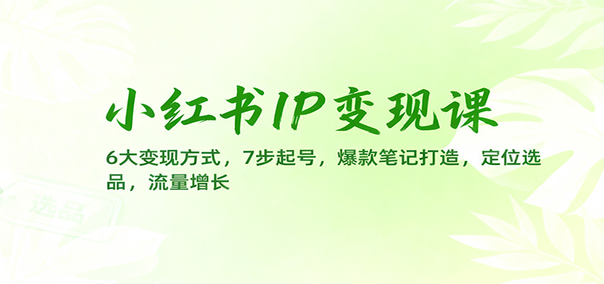 小红书IP变现课：6大变现方式，7步起号，爆款笔记打造，定位选品，流量增长-网创项目总站