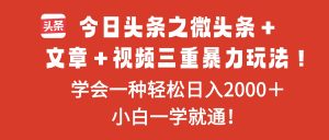 今日头条之微头条＋文章＋视频三重暴力玩法，学会一种轻松日入2000＋，…-网创项目总站