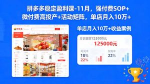 拼多多稳定盈利课-11月，强付费SOP+微付费高投产+活动矩阵，单店月入10w+-网创项目总站