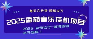 2025最新挂机番茄音乐项目，每天几分钟，日入1000＋-网创项目总站