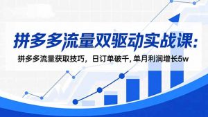 拼多多流量双驱动实战课：拼多多流量获取技巧，日订单破千,单月利润增长5w-网创项目总站