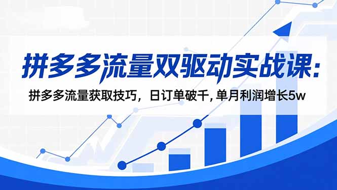 拼多多流量双驱动实战课：拼多多流量获取技巧，日订单破千,单月利润增长5w-网创项目总站
