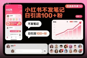 引流系列课14：小红书不发笔记日引流100+粉-网创项目总站