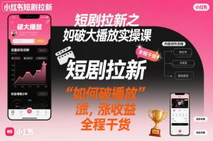 短剧拉新之小红书如何破大播放实操课，如何破播放，涨收益，全程干货-网创项目总站