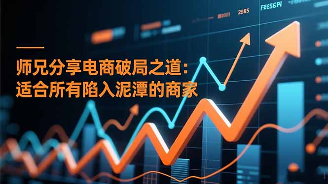 师兄分享电商破局之道：适合所有陷入泥潭的商家-网创项目总站