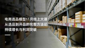 电商选品模型11月线上大课：从选品到开品的完整方法论 持续增长与利润突破-网创项目总站