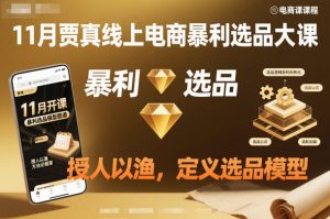 11月贾真线上电商暴利选品大课，授人以渔，定义选品模型-网创项目总站
