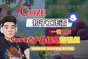 Coze扣子智能体工作流一键生成“SORA2产品信息“短视频，全流程保姆级教学-网创项目总站