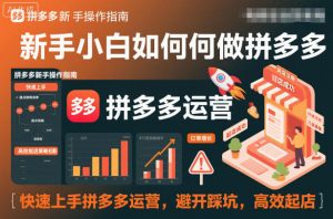 新手小白如何做拼多多，快速上手拼多多运营，避开踩坑，高效起店-网创项目总站