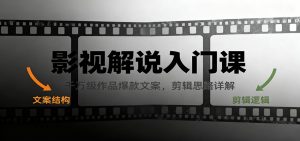 影视解说入门课，千万级作品爆款文案，剪辑思路详解-网创项目总站