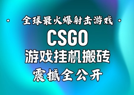【年底大揭秘】基于全球最火爆的射击CSGO游戏挂G搬砖，日入5张+，震撼公开-网创项目总站