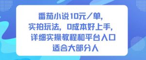 番茄小说10米每单，实拍玩法，0成本好上手，详细实操教程和平台入口适合大部分人-网创项目总站