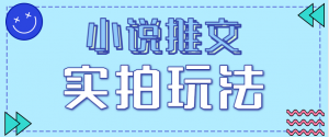 小说推文实拍玩法，零成本零门槛10元/单，轻松月收益万元-网创项目总站