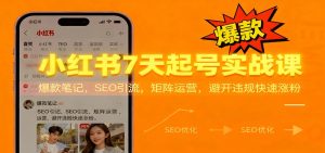 小红书7天起号实战课：爆款笔记，SEO引流，矩阵运营，避开违规快速涨粉-网创项目总站