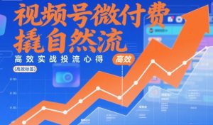 视频号微付费撬自然流，高效实战投流心得-网创项目总站