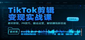 TikTok剪辑变现实战课：素材获取，PR技巧，搬运运营，解锁赚钱新技能-网创项目总站