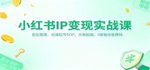 小红书IP变现实战课：定位搭建，光速起号SOP，文案拍摄，0基础也能赚钱-网创项目总站