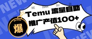 专注于Temu商家提供精准曝光浏览量，助力店铺排名提升和转化，单机日收入80-130【揭秘】-网创项目总站