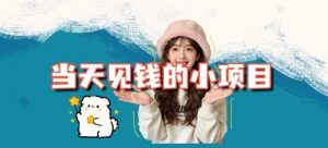当天能收益的3个小项目拆解_包括平台+操作流程-网创项目总站