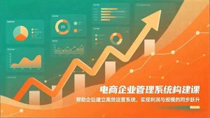 电商企业管理系统构建课：帮助企业建立高效运营系统，实现利润与规模的同步跃升-网创项目总站
