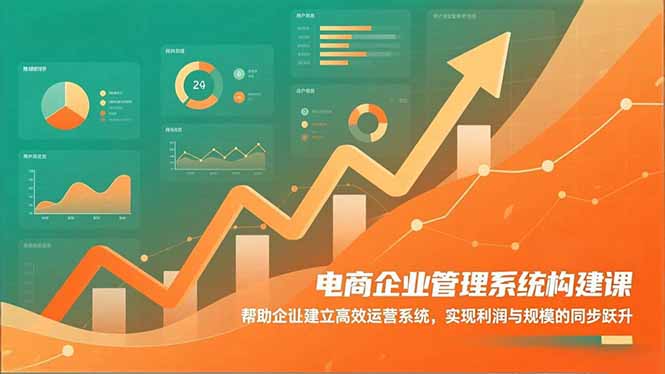 电商企业管理系统构建课：帮助企业建立高效运营系统，实现利润与规模的同步跃升-网创项目总站