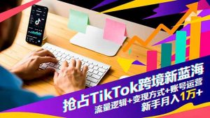 抢占TikTok跨境新蓝海：流量逻辑+变现方式+账号运营，新手月入1万+-网创项目总站