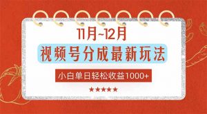 11月~12月视频号分成最新玩法，小白单日轻松收益1000+-网创项目总站