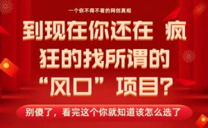 马上26年了，你还在找所谓的风口项目？别傻了，看完这个你全都懂了！【揭秘】-网创项目总站