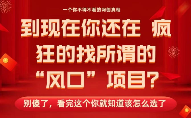 马上26年了，你还在找所谓的风口项目？别傻了，看完这个你全都懂了！【揭秘】-网创项目总站