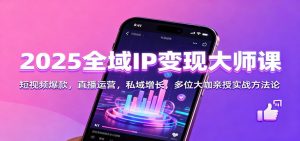2025全域IP变现大师课：短视频爆款，直播运营，私域增长，多位大咖亲授实战方法论-网创项目总站