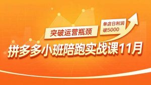 拼多多小班陪跑实战课11月，强付费矩阵、原价活动、暗券引流，突破运营瓶颈，单店日利润破5000-网创项目总站
