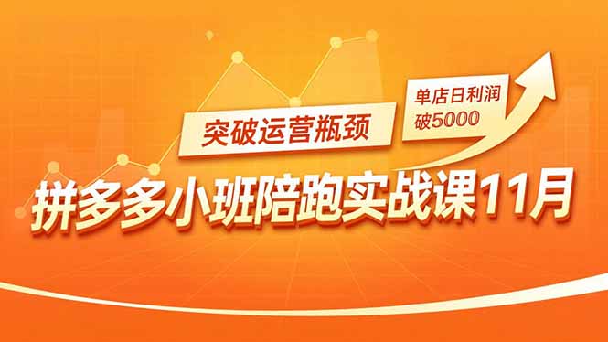 拼多多小班陪跑实战课11月，强付费矩阵、原价活动、暗券引流，突破运营瓶颈，单店日利润破5000-网创项目总站
