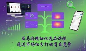 亚马逊精细化选品课程，通过市场细分打破盲目竞争-网创项目总站