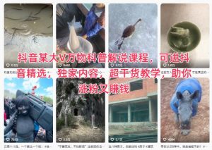 抖音某大V万物科普解说课程，可进抖音精选，独家内容，超干货教学，助你涨粉又賺钱-网创项目总站