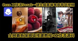 coze智能体sora2一键生成电商带货高端视频工作流保姆级拆解教程，无需剪辑，无需拍摄-网创项目总站