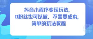 抖音小程序变现玩法，0粉丝也可以做，不需要成本，简单的玩法教程-网创项目总站