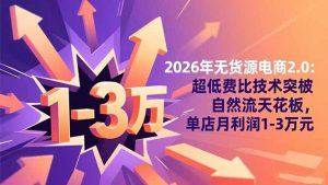 2026年无货源电商2.0【更新】：超低费比技术突破自然流天花板，单店月利润1-3万元-网创项目总站