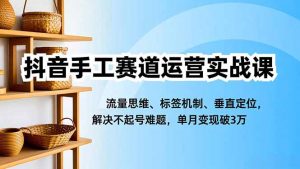 抖音手工赛道运营实战课，流量思维、标签机制、垂直定位，解决不起号难题，单月变现破3万-网创项目总站