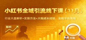 小红书全域引流线下课(11月)：行业大盘解析+实操方法+大咖成长经验，全程干货落地-网创项目总站