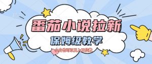 番茄小说拉新，保姆级教程，小白也可以日入三位数-网创项目总站