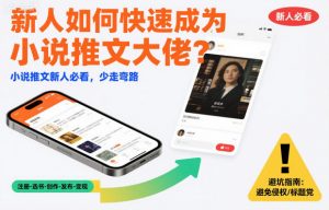 新人如何快速成为小说推文大佬？小说推文新人必看，少走弯路-网创项目总站