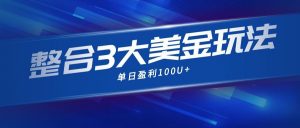 整合现在市面上的3种美金赚钱玩法，3种模式。单日产值·100U+-网创项目总站