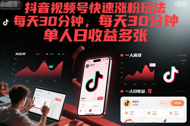 抖音视频号快速涨粉玩法，每天30分钟，单人日收益多张-网创项目总站
