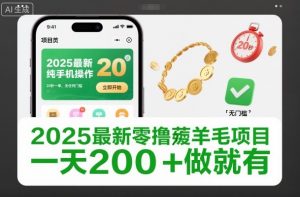 2025最新零撸薅羊毛项目，纯手机操作，20秒一单，无任何门槛，一天200+做就有【揭秘】-网创项目总站